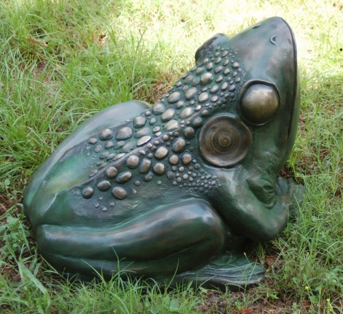 ToadFrog